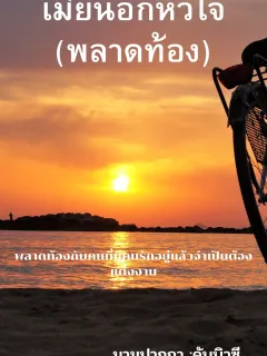 เมียนอกหัวใจ (พลาดท้อง)