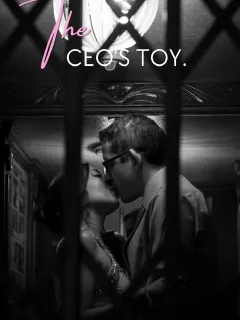 The CEO's Toy.
