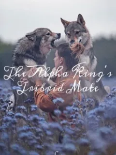 De Tribrid Partner van de Alpha Koning