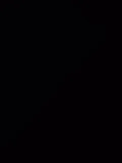 Der Abtrünnige Krieger