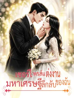 เซอร์ไพรส์แต่งงาน: มหาเศรษฐีลึกลับของฉัน