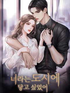 너라는 도시에 닿고 싶었어