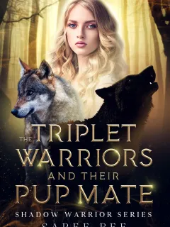 Los trillizos guerreros y su pequeña compañera