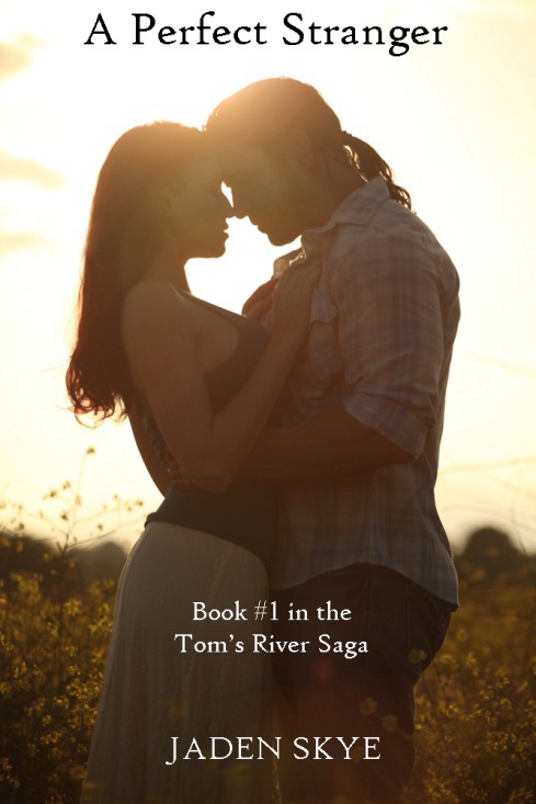 A Perfect Stranger (Book #1 in the Tom's River Saga)