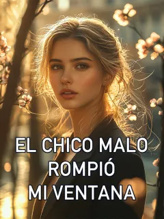 El Chico Malo Rompió Mi Ventana