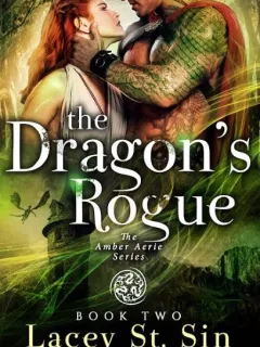 Der Schurke des Drachen - Buch 2 der Amber Aerie Lords Serie