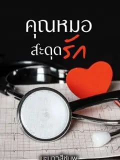 คุณหมอสะดุดรัก