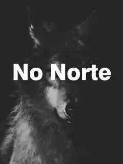 No Norte
