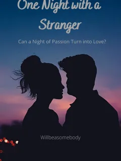 Una noche con un desconocido