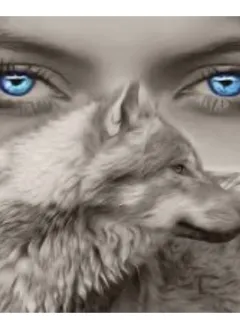 Blauwogige wolvin en de beta