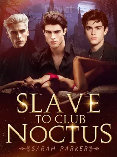 Club Noctus'un Kölesi