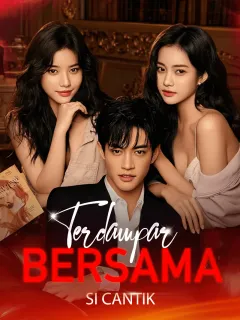 Terdampar Bersama si Cantik