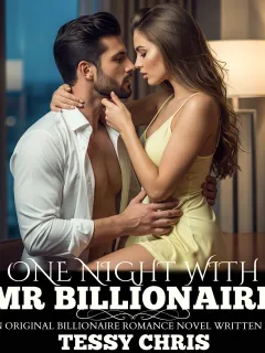 One Night With Mr Billionaire