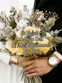 SE VOLVIÓ A CASA CON EL MULTIMILLONARIO PERFECTO