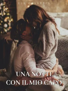 Una notte con il mio capo