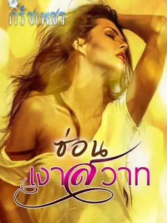 ซ่อนเงาสวาท